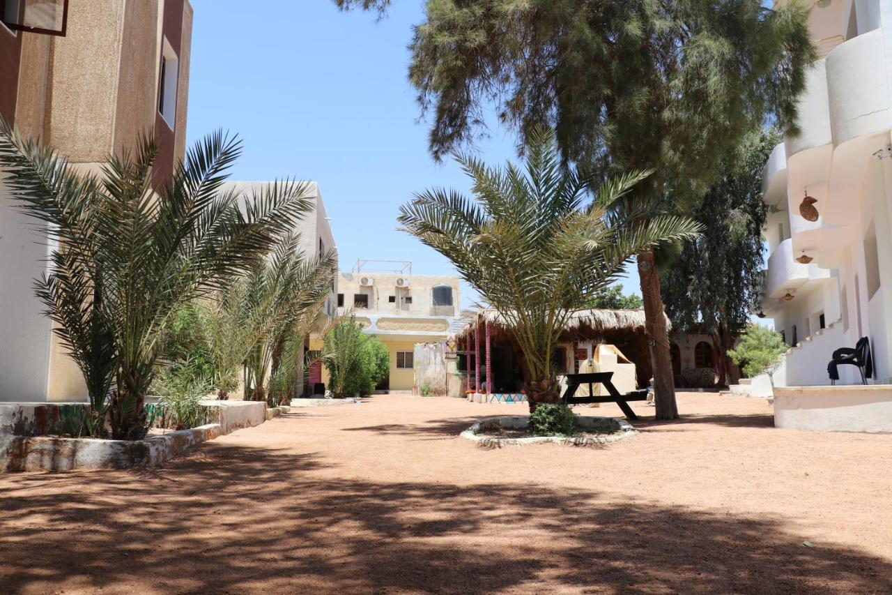 Oasis Fighting Kangaroo Hotel Dahab Luaran gambar