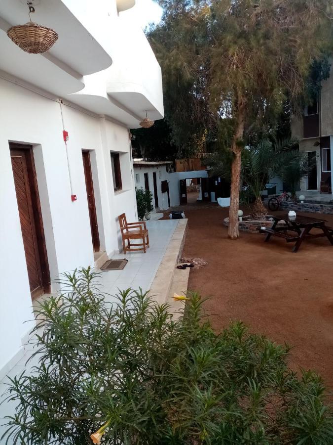 Oasis Fighting Kangaroo Hotel Dahab Luaran gambar